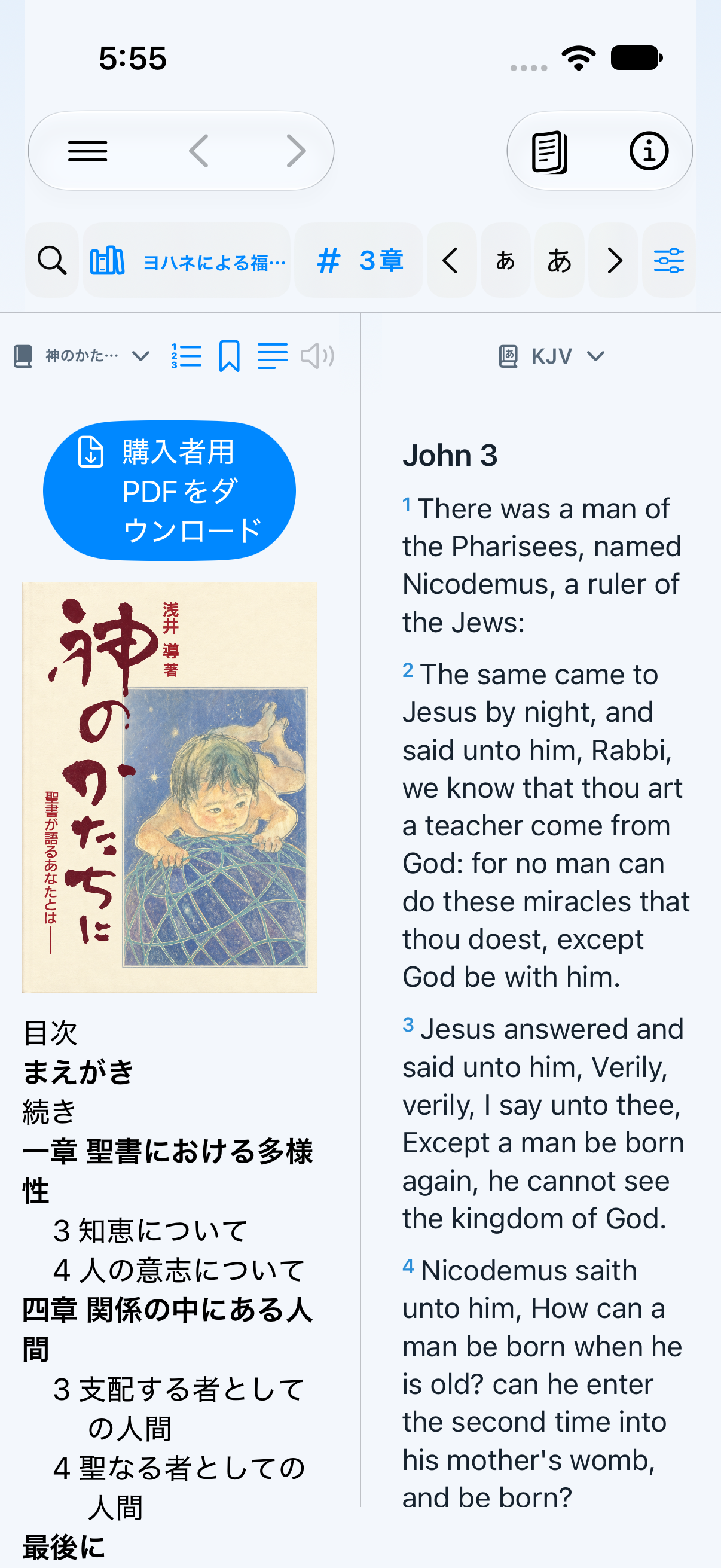 Activated Image of God book in two panes with the purchaser PDF download button above the front cover
